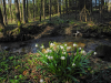 Schinderbach